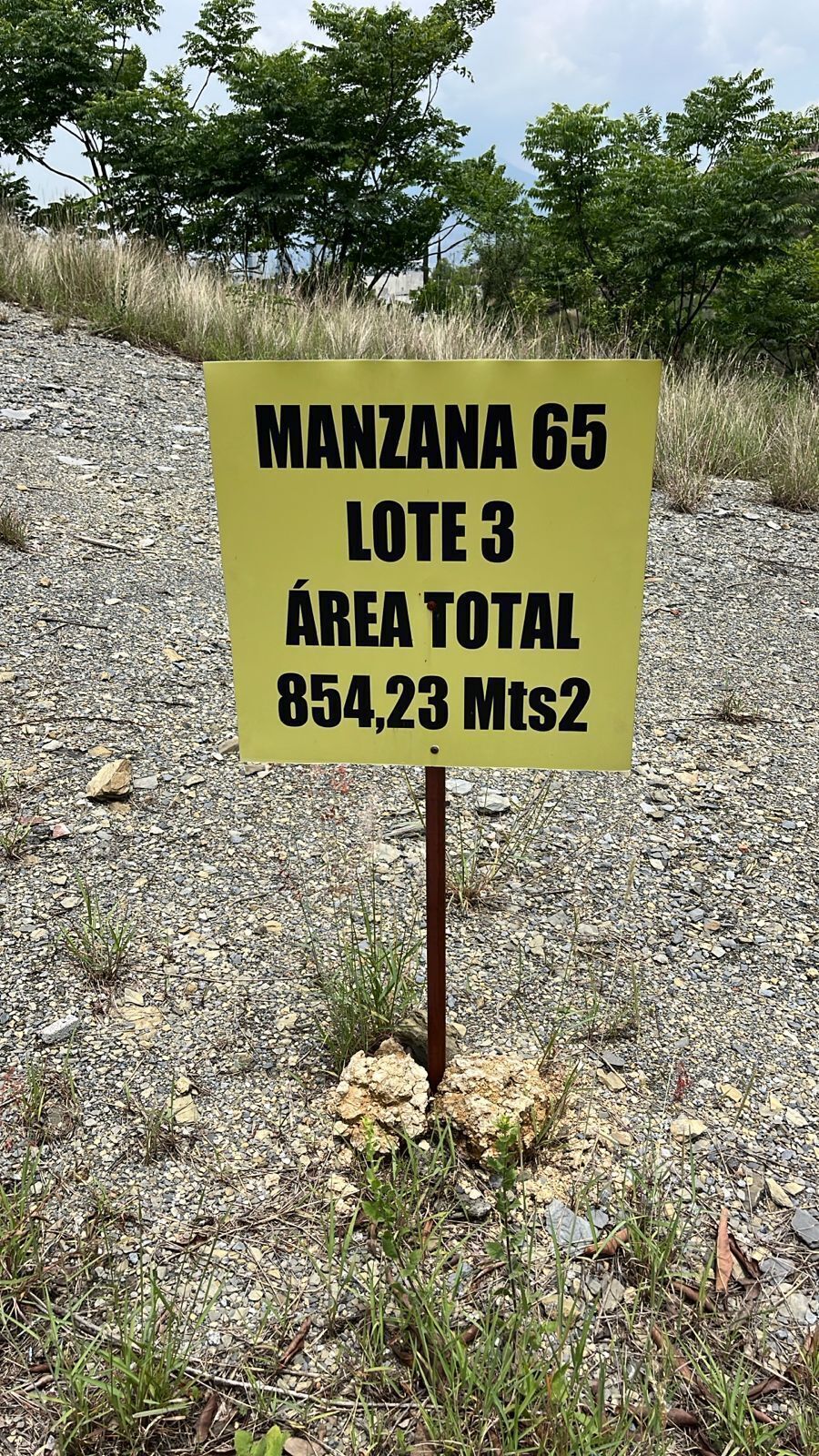 2 de 8