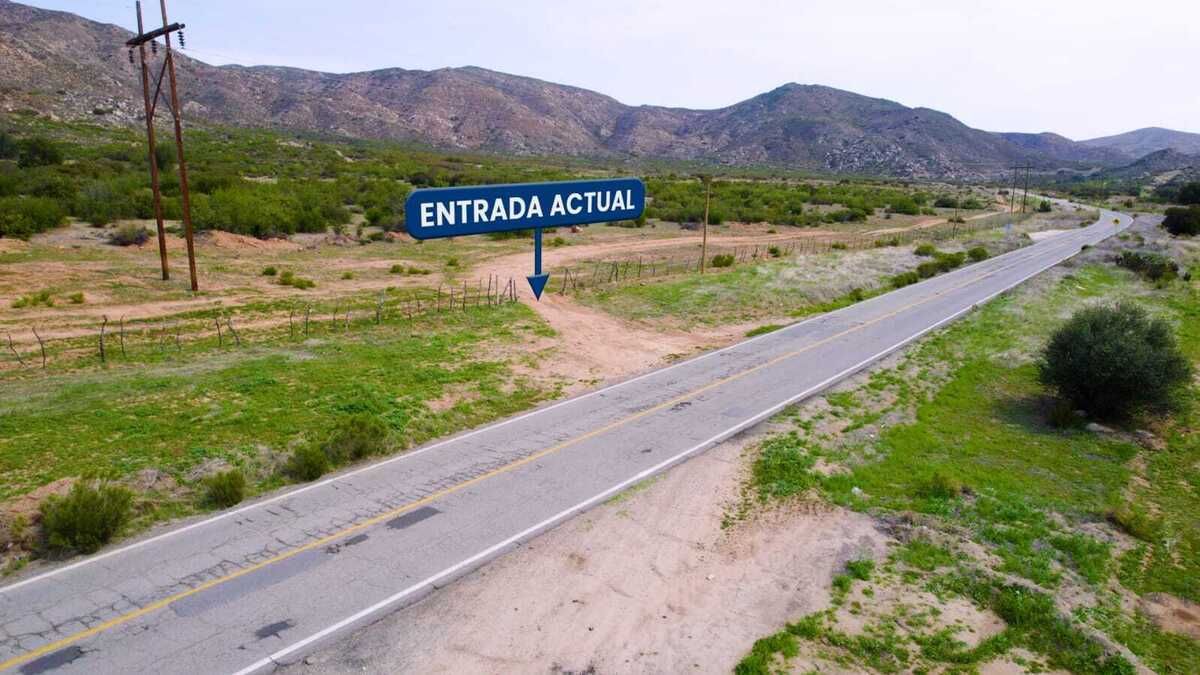 11 de 12