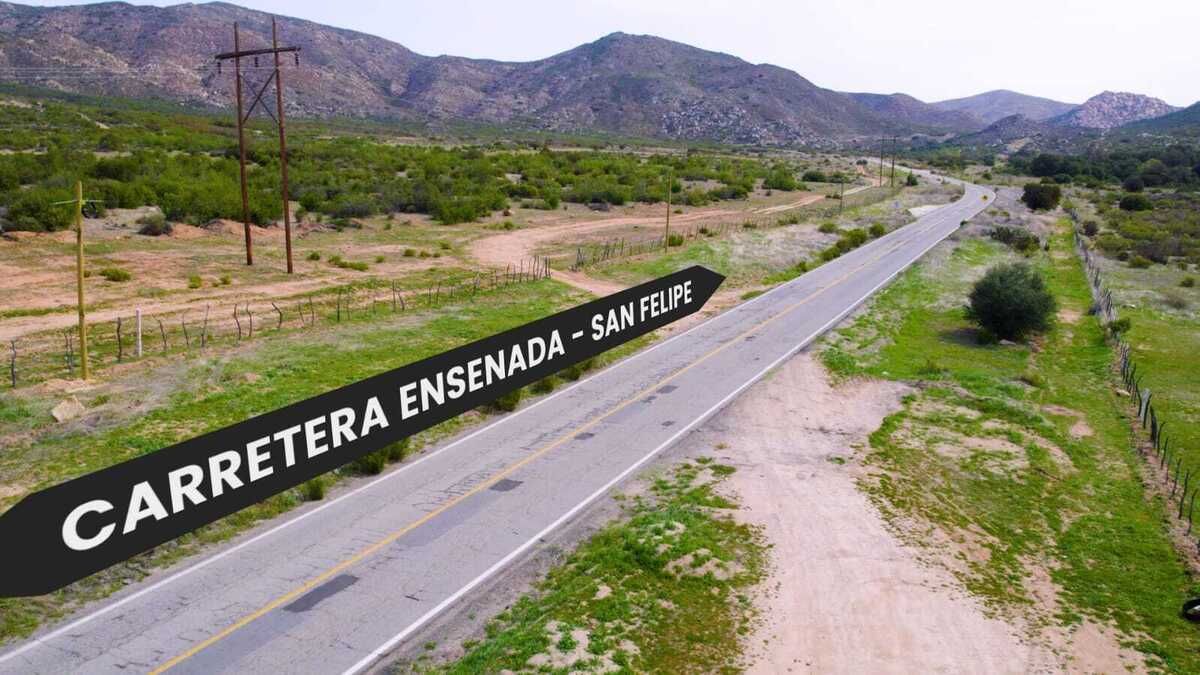 12 de 12