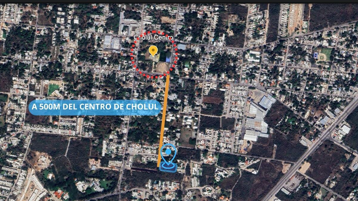 3 de 16