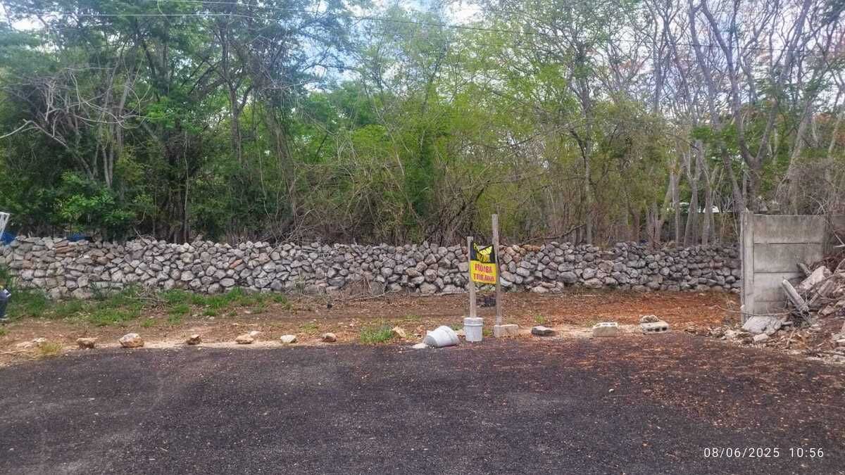 9 de 16