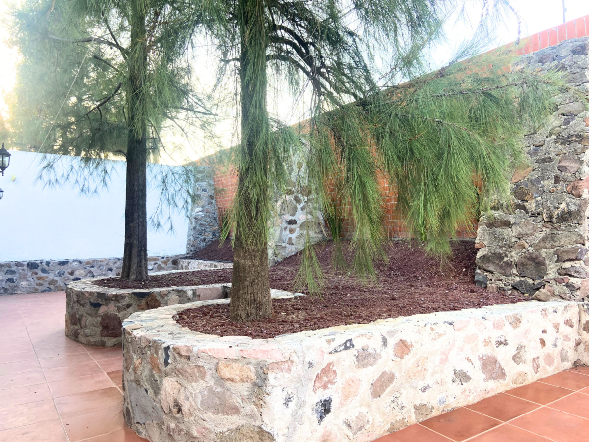 24 de 27: Patio Trasero