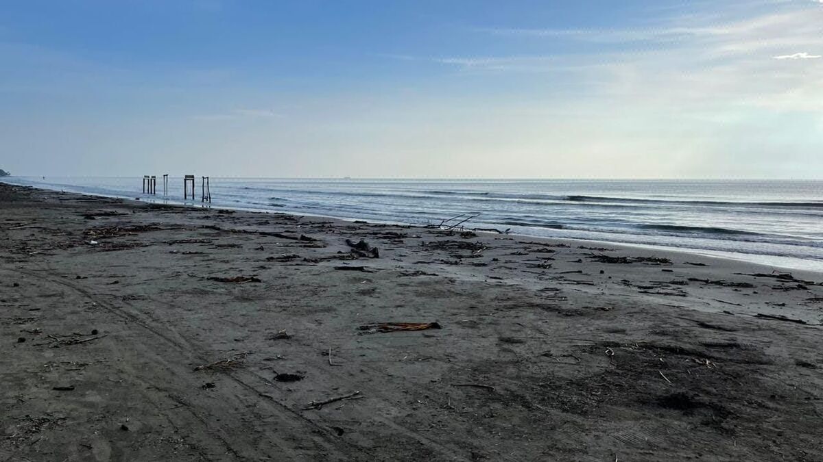 Terreno de 4,502 m2 en venta en Mata de Uva. ALVARADO VER. A PIE DE PLAYA