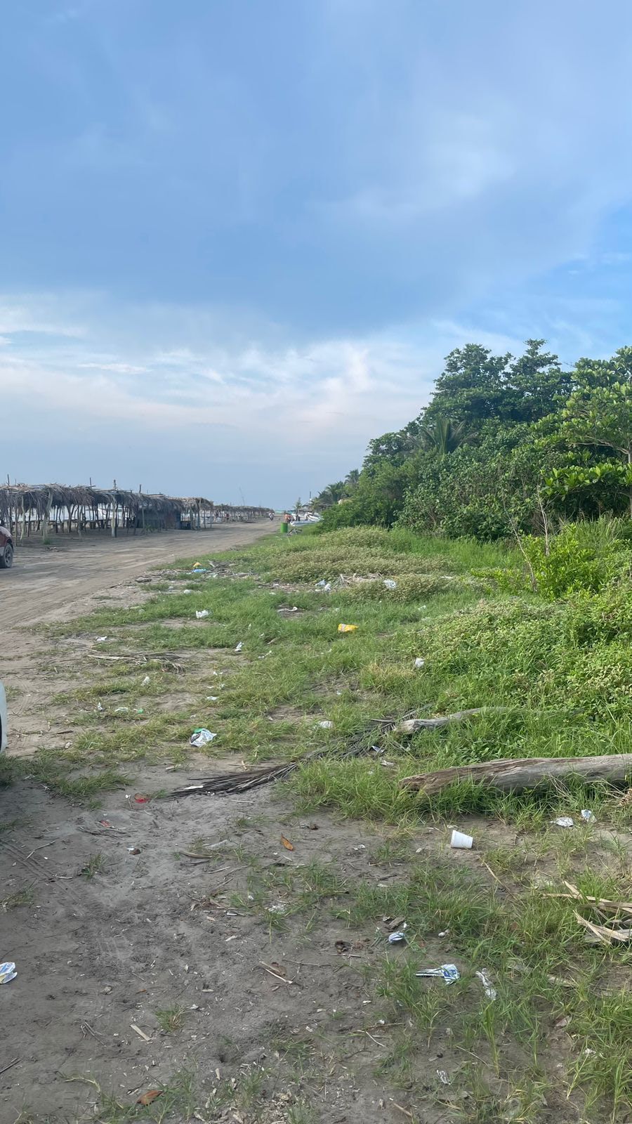 Terreno de 3,001 m2 en venta en Mata de Uva. ALVARADO VER. A PIE DE PLAYA