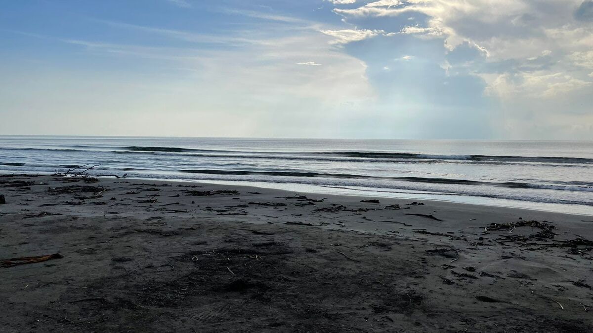 Terreno de 2,000 m2 en venta en Mata de Uva. ALVARADO VER. A PIE DE PLAYA