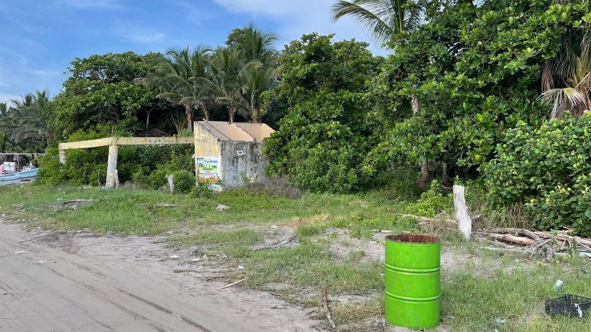 Terreno de 1,500 m2 en venta en Mata de Uva. ALVARADO VER. A PIE DE PLAYA