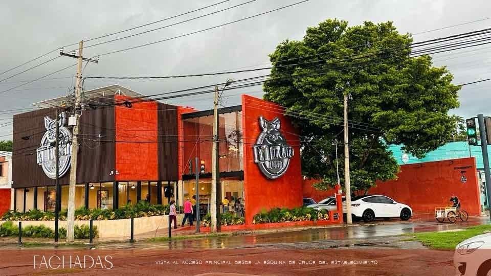 1 de 13