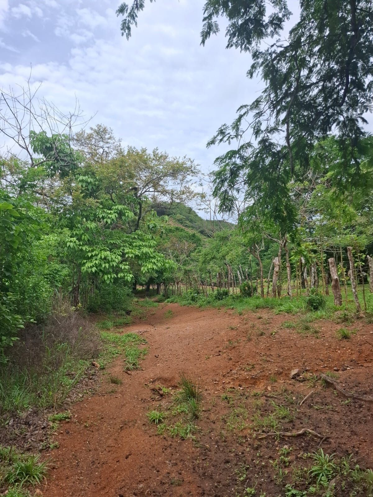 1 de 19