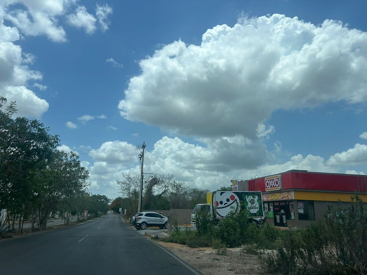 10 de 10