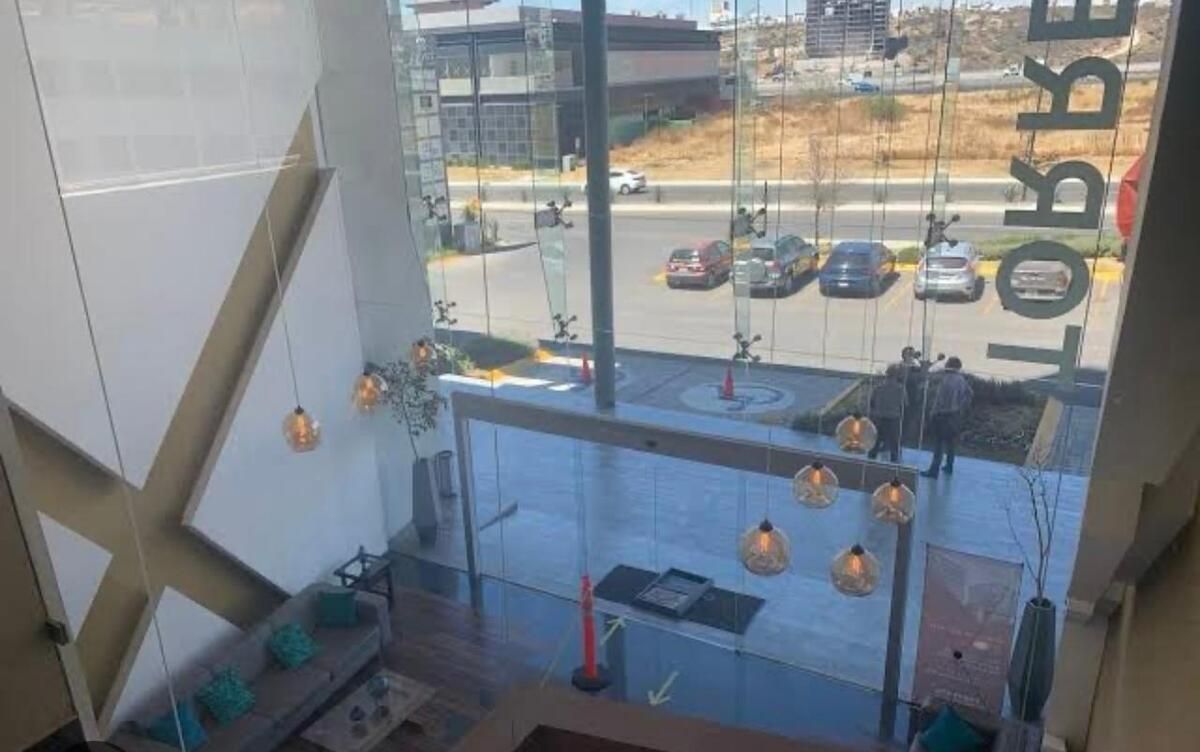 6 de 12