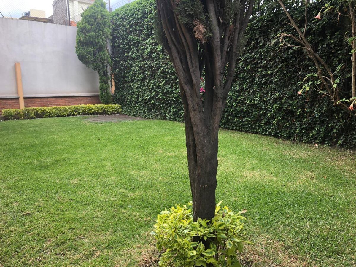 5 de 24