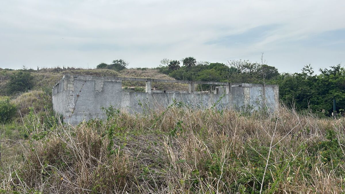 Imagen 6 de 8