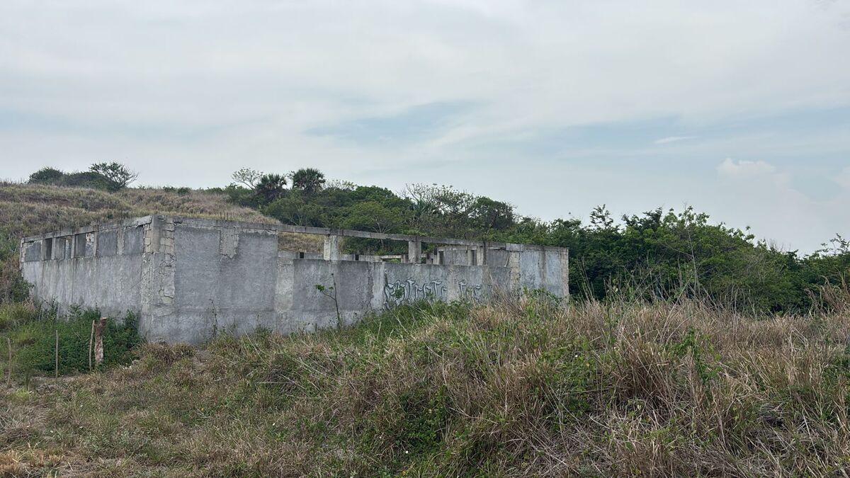 Imagen 5 de 8
