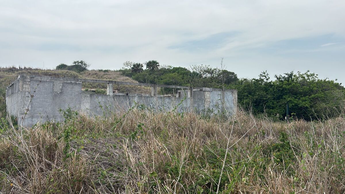 Imagen 4 de 8