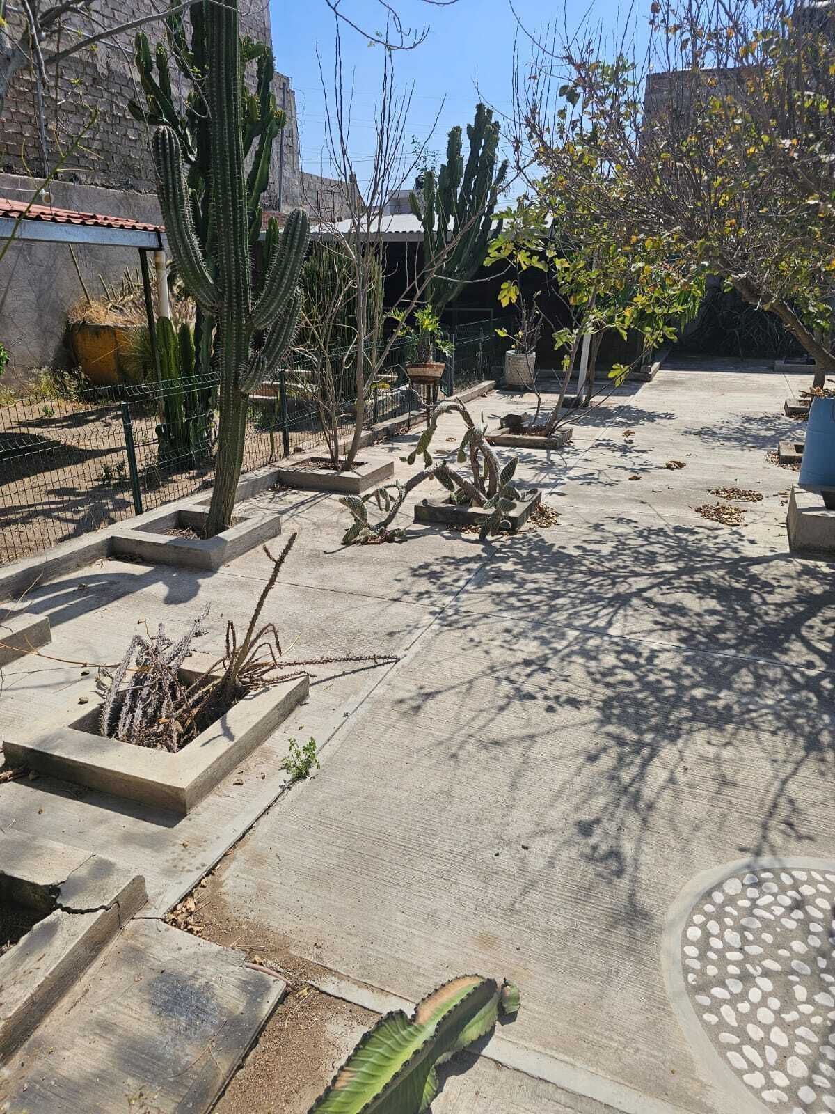 4 de 6