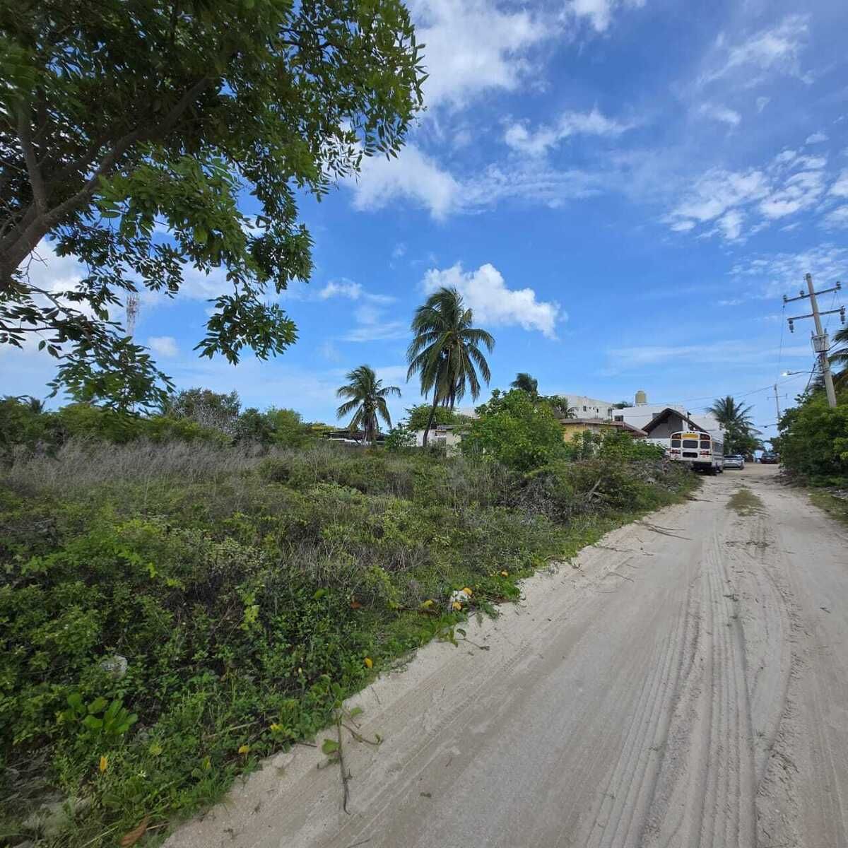 1 de 6
