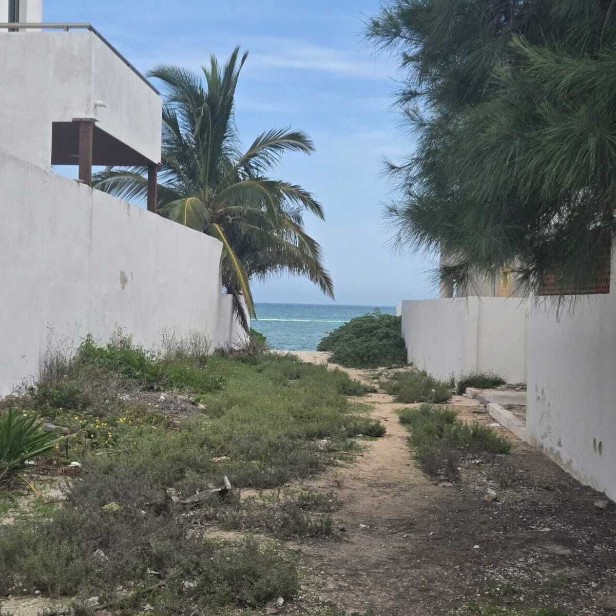 4 de 6