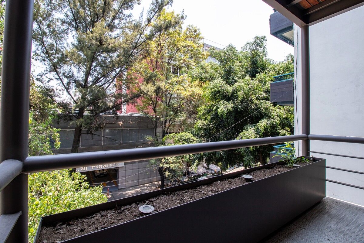 2 de 24: balcon arboles