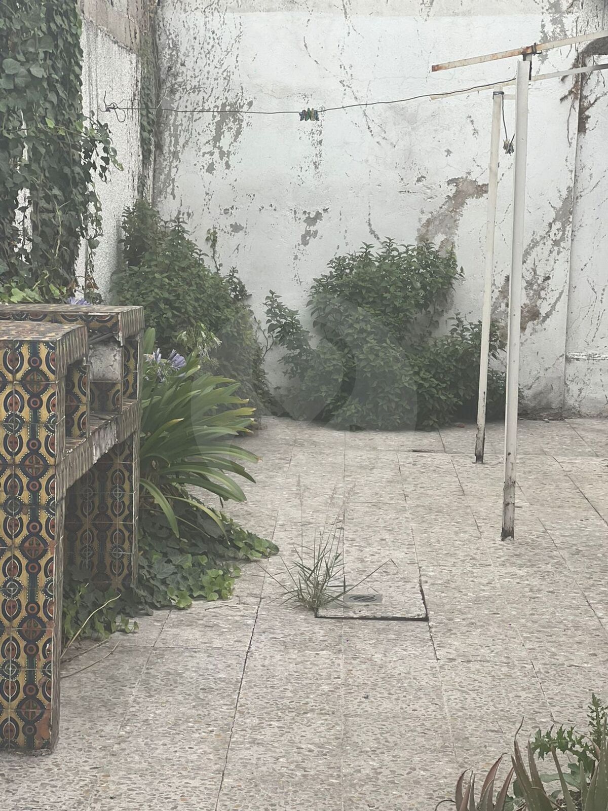7 de 8