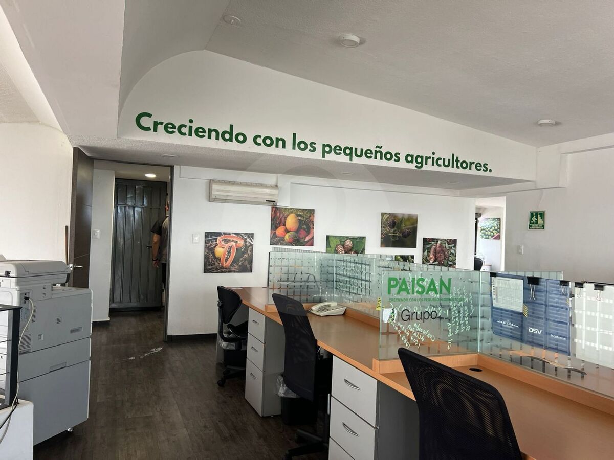 6 de 38