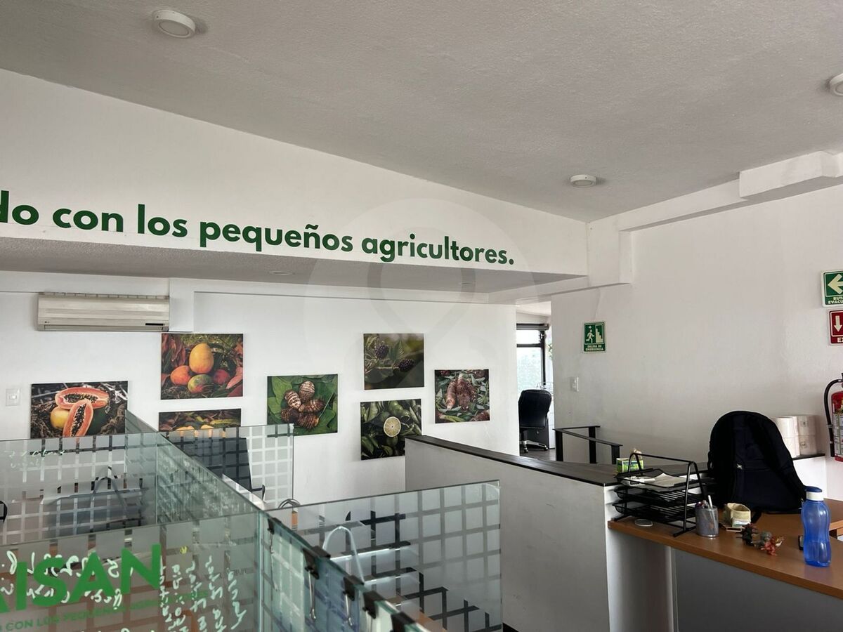 25 de 38