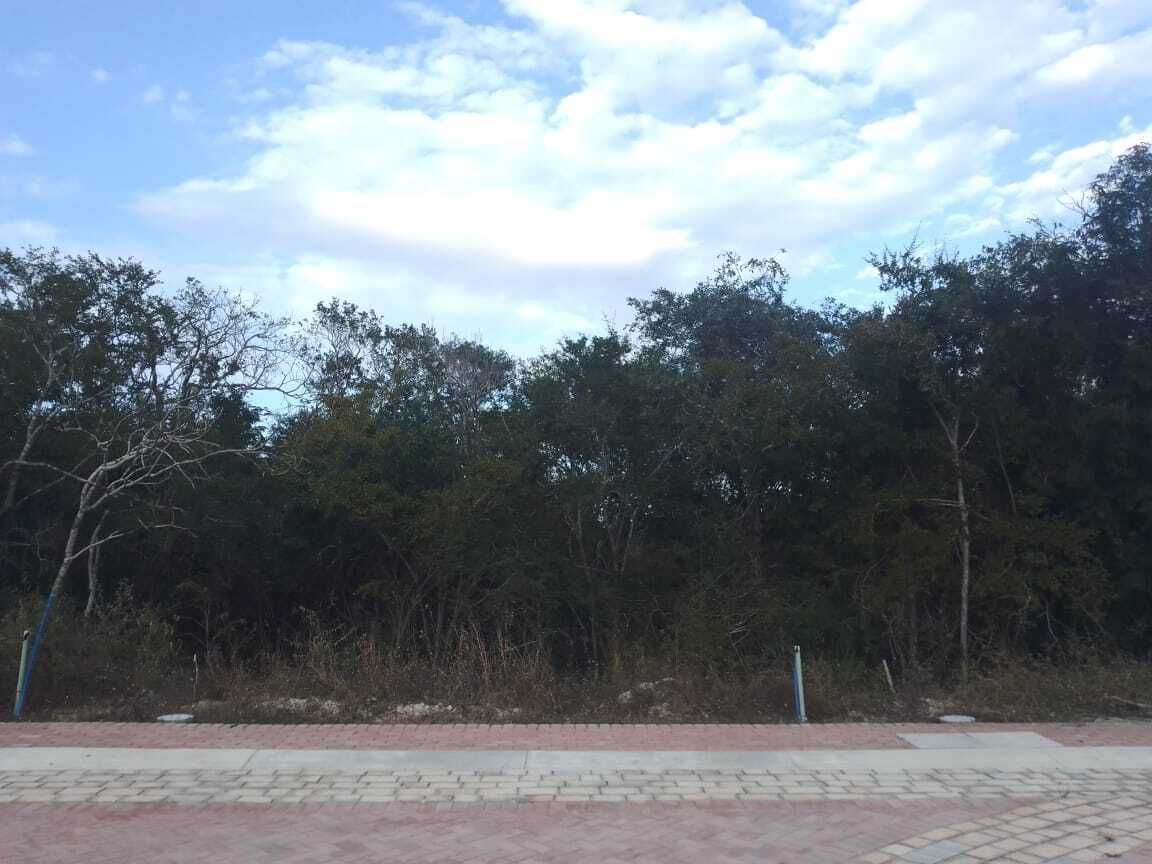 5 de 7