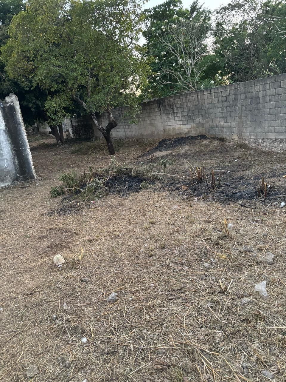 5 de 17