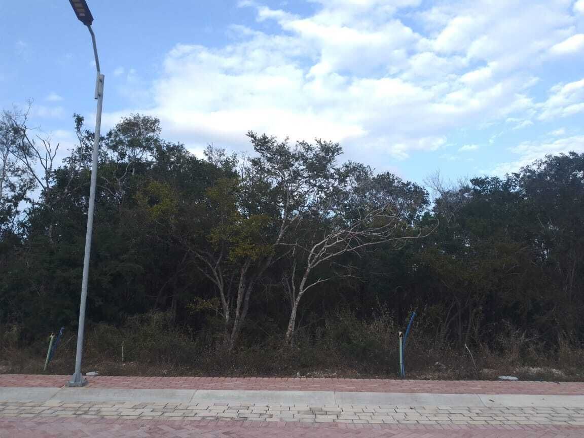 4 de 7