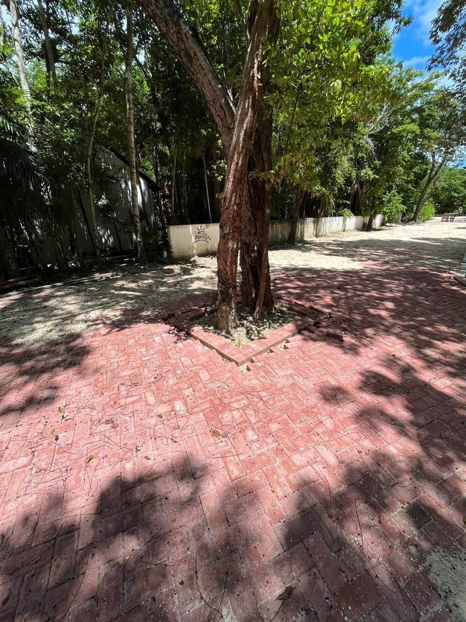 5 de 37