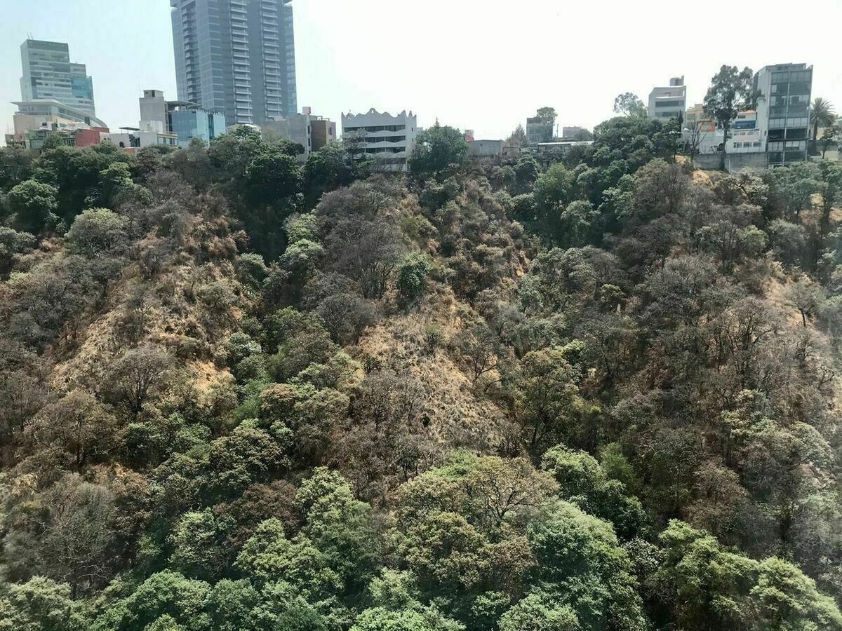 20 de 21