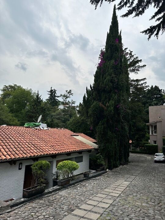 10 de 48