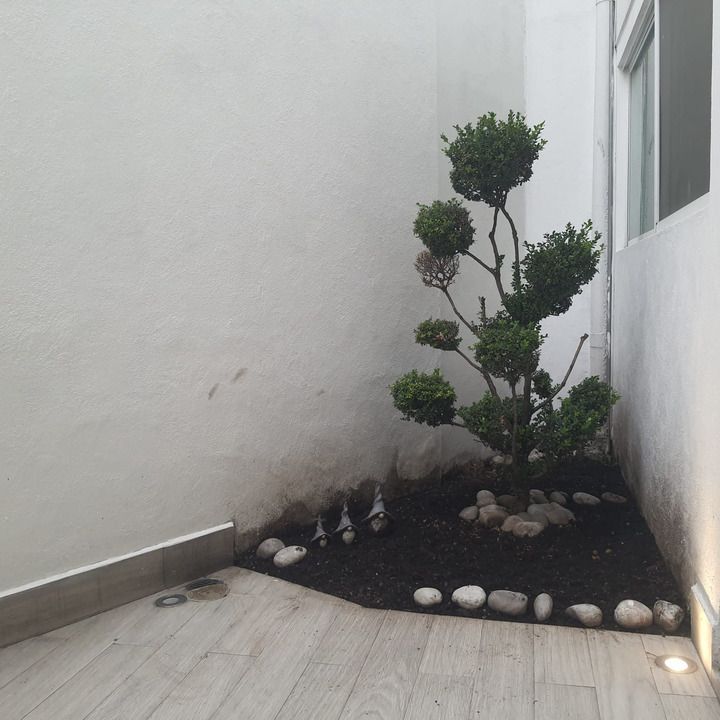 4 de 23