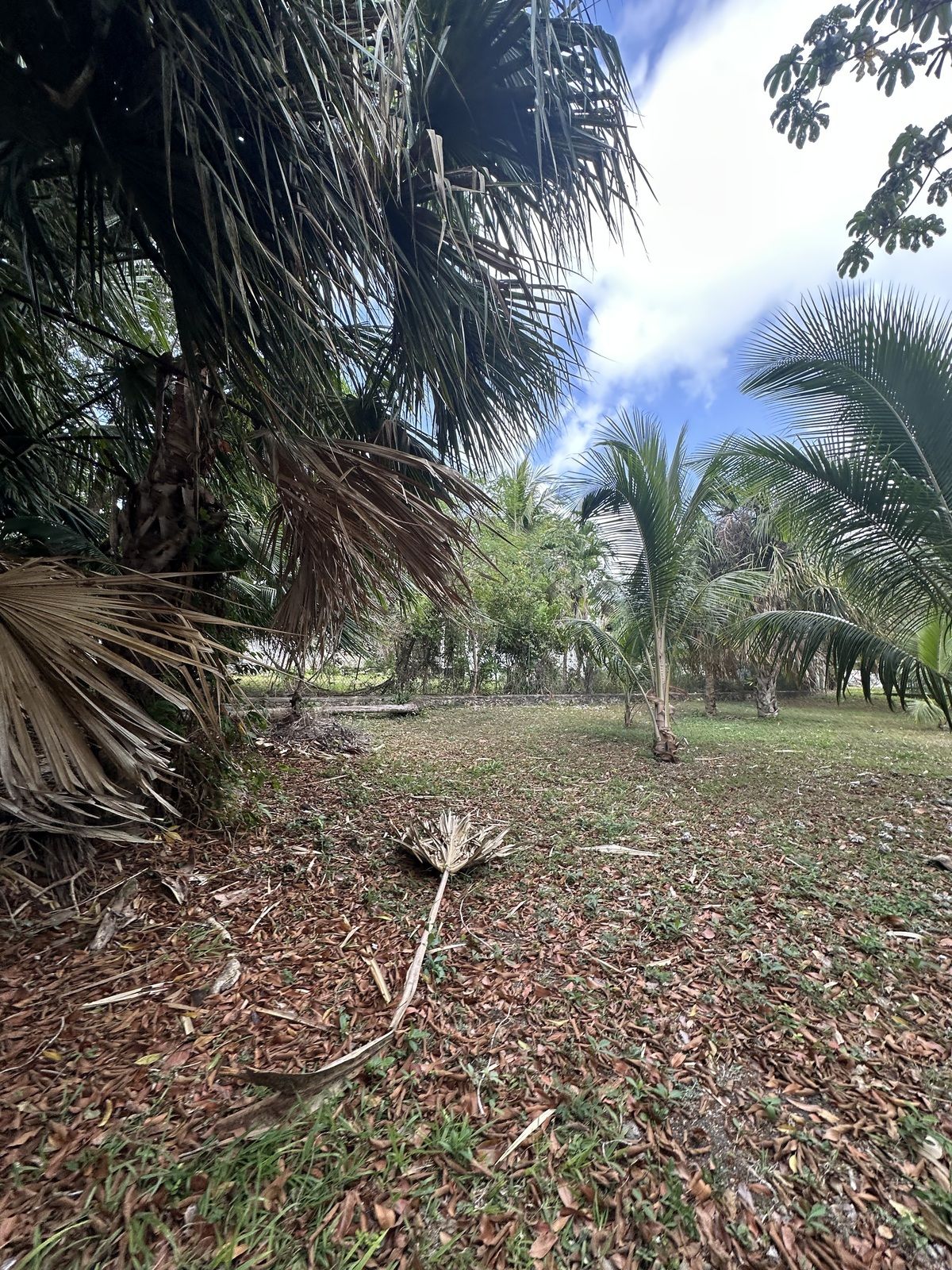 5 de 7