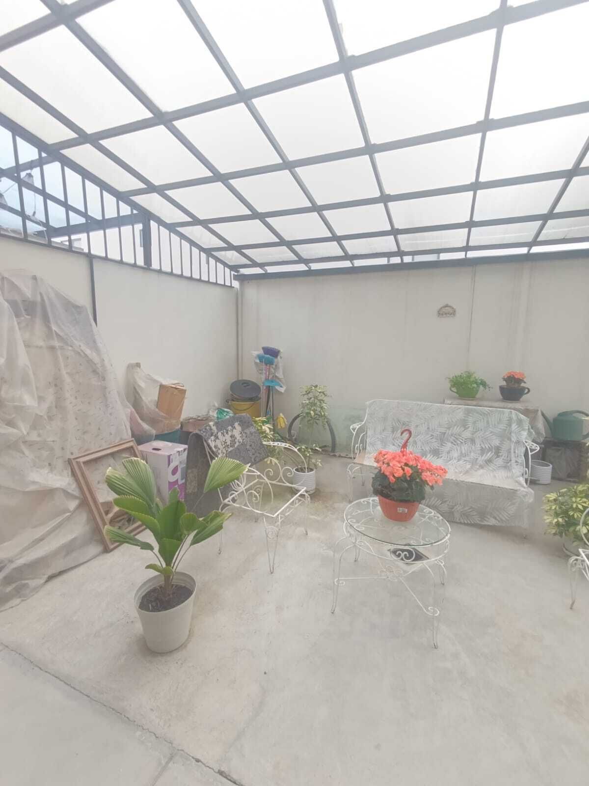 11 de 11