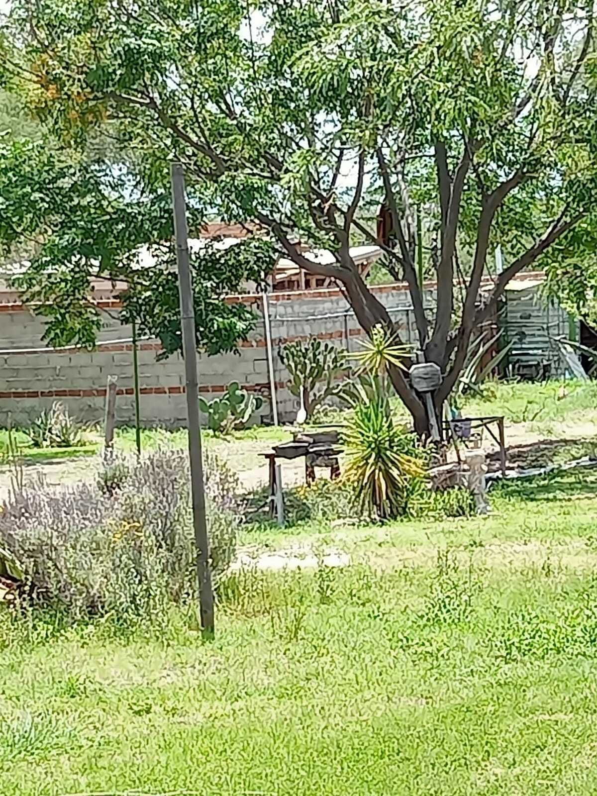 10 de 30