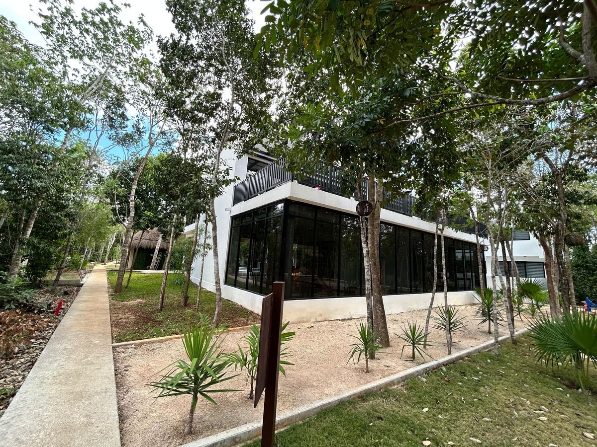 12 de 17