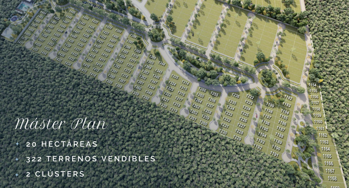 2 de 16: Master plan
