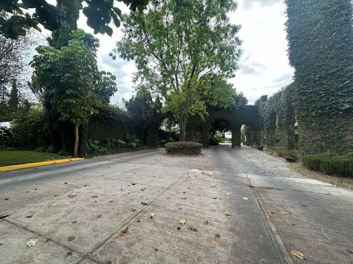 1 de 6