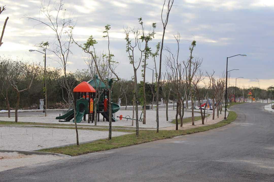 14 de 19