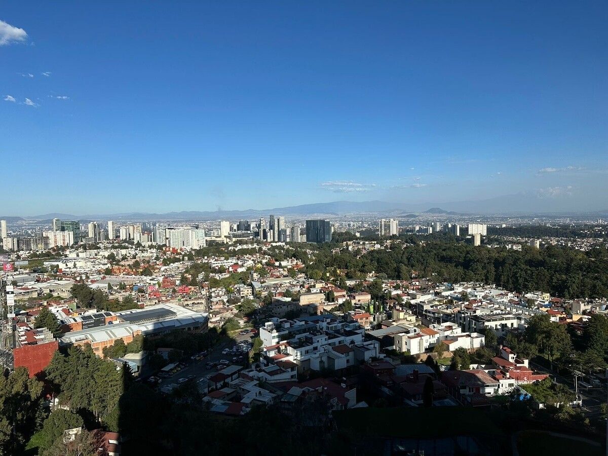 11 de 11
