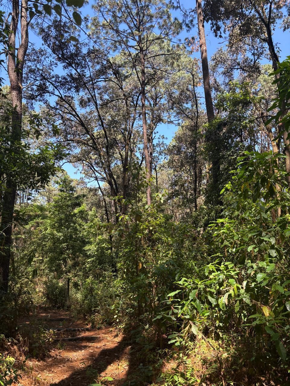 1 of 8: terreno