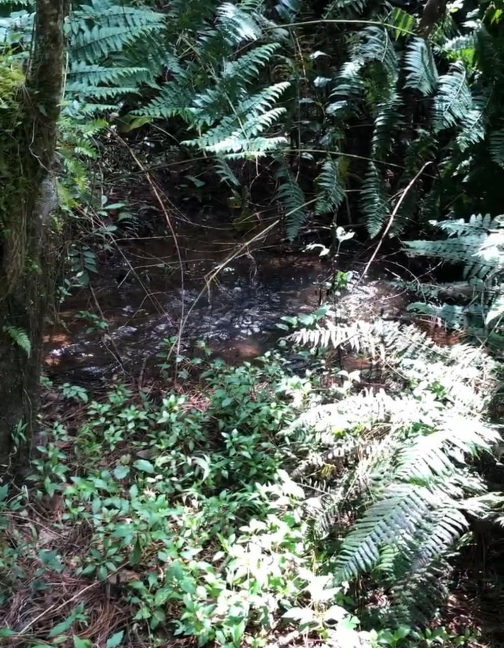 6 of 8: terreno