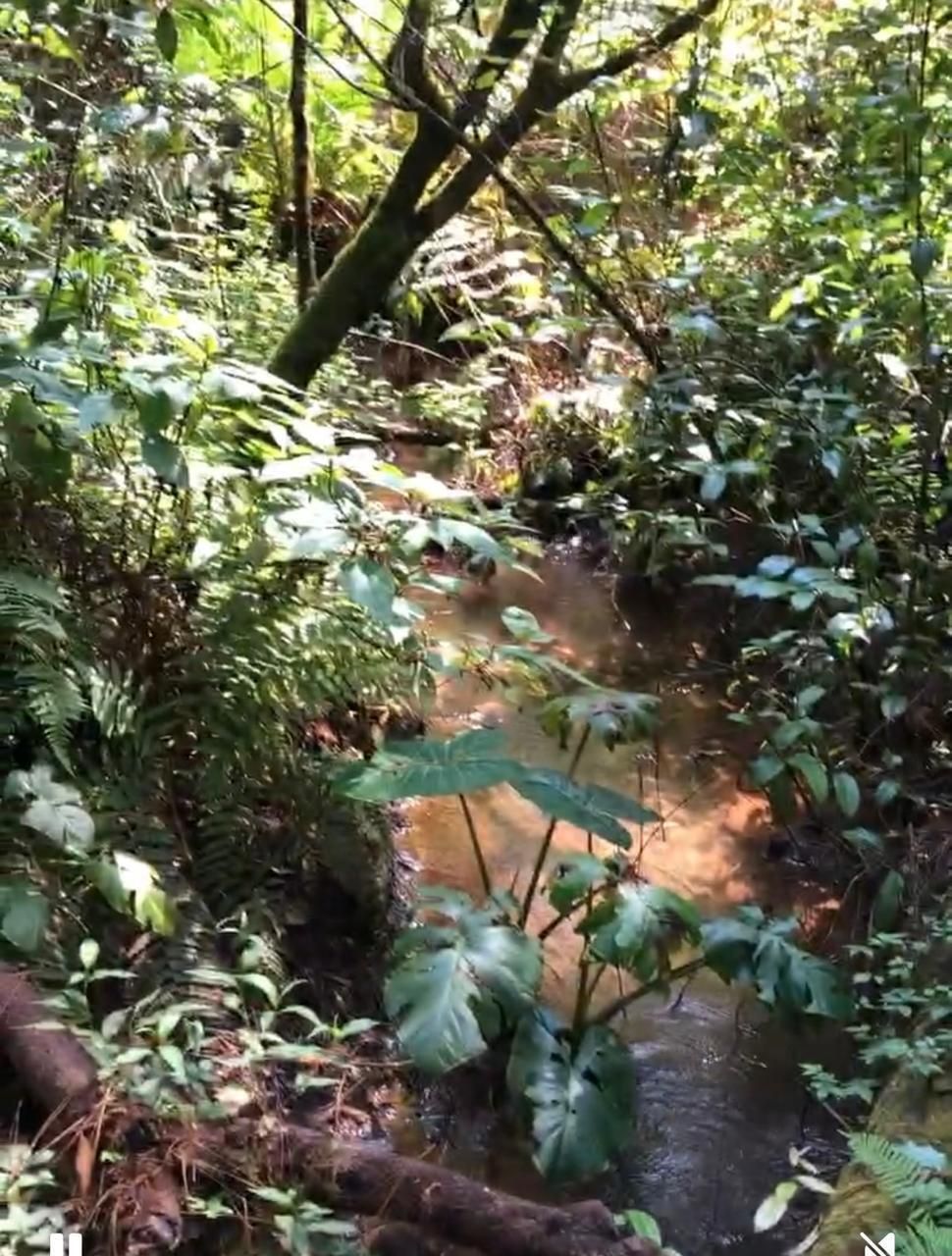 7 of 8: ojo de agua