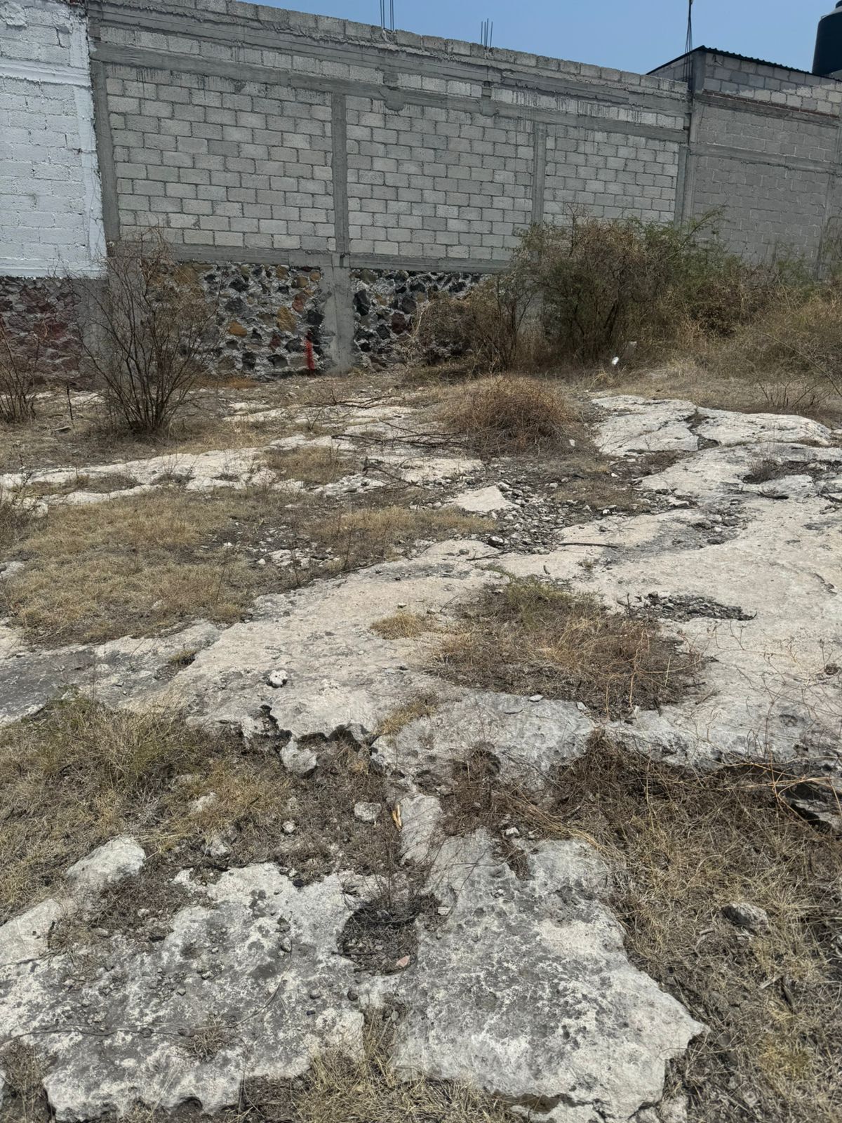 2 de 8