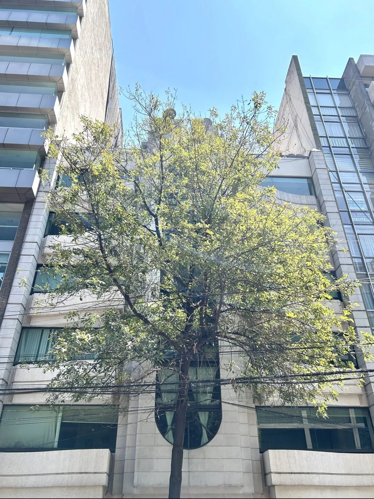 2 de 22