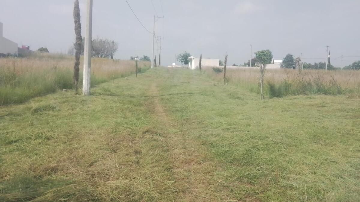 2 de 2