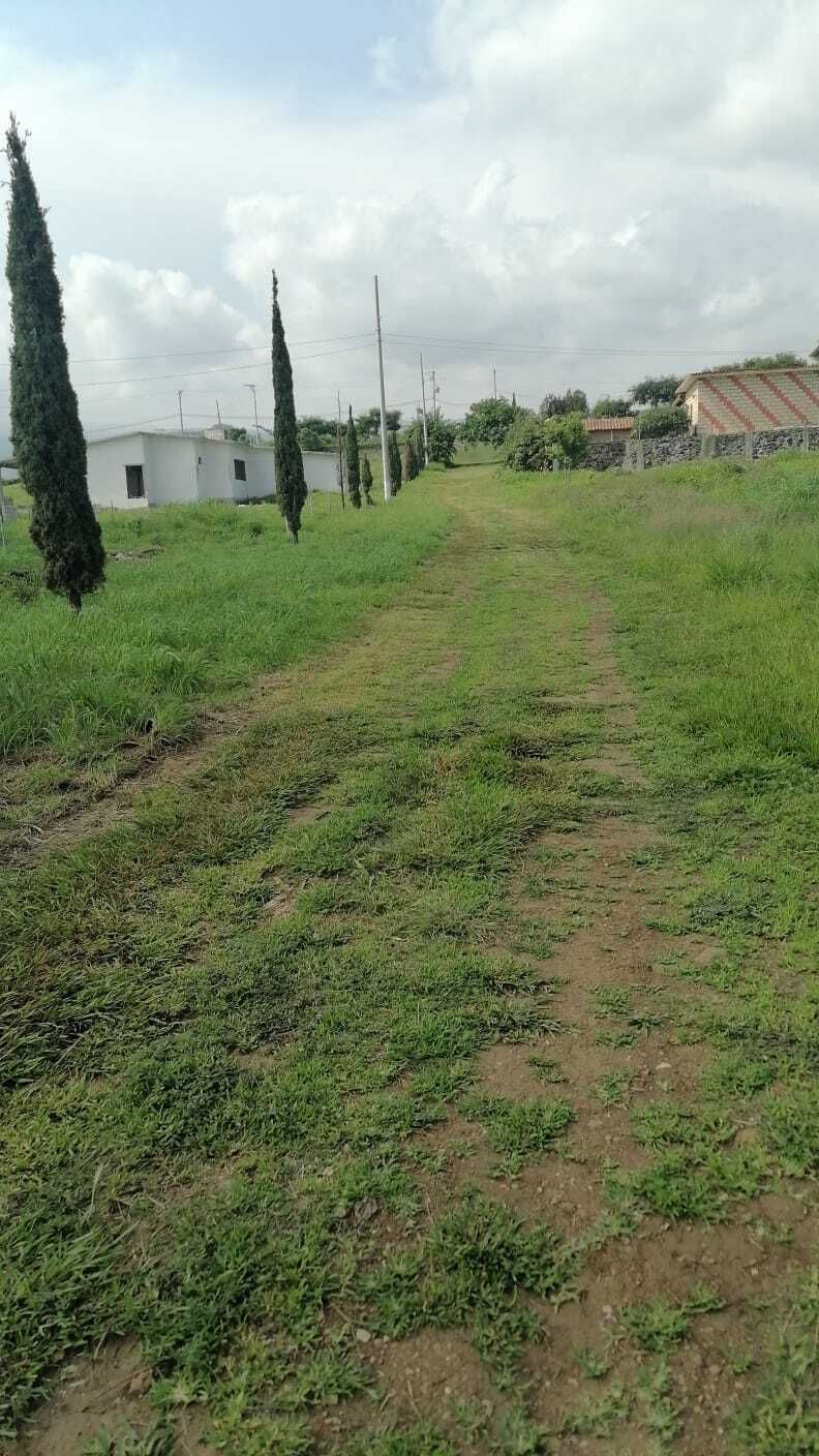 3 de 6