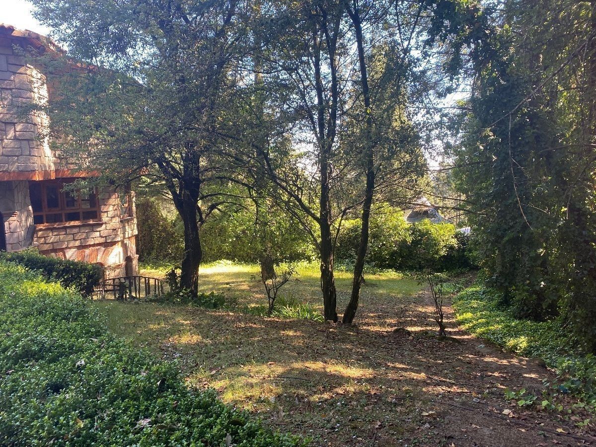 3 de 49