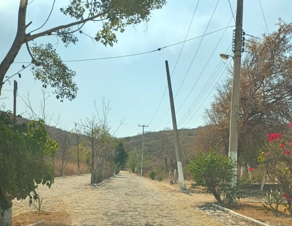 2 de 6