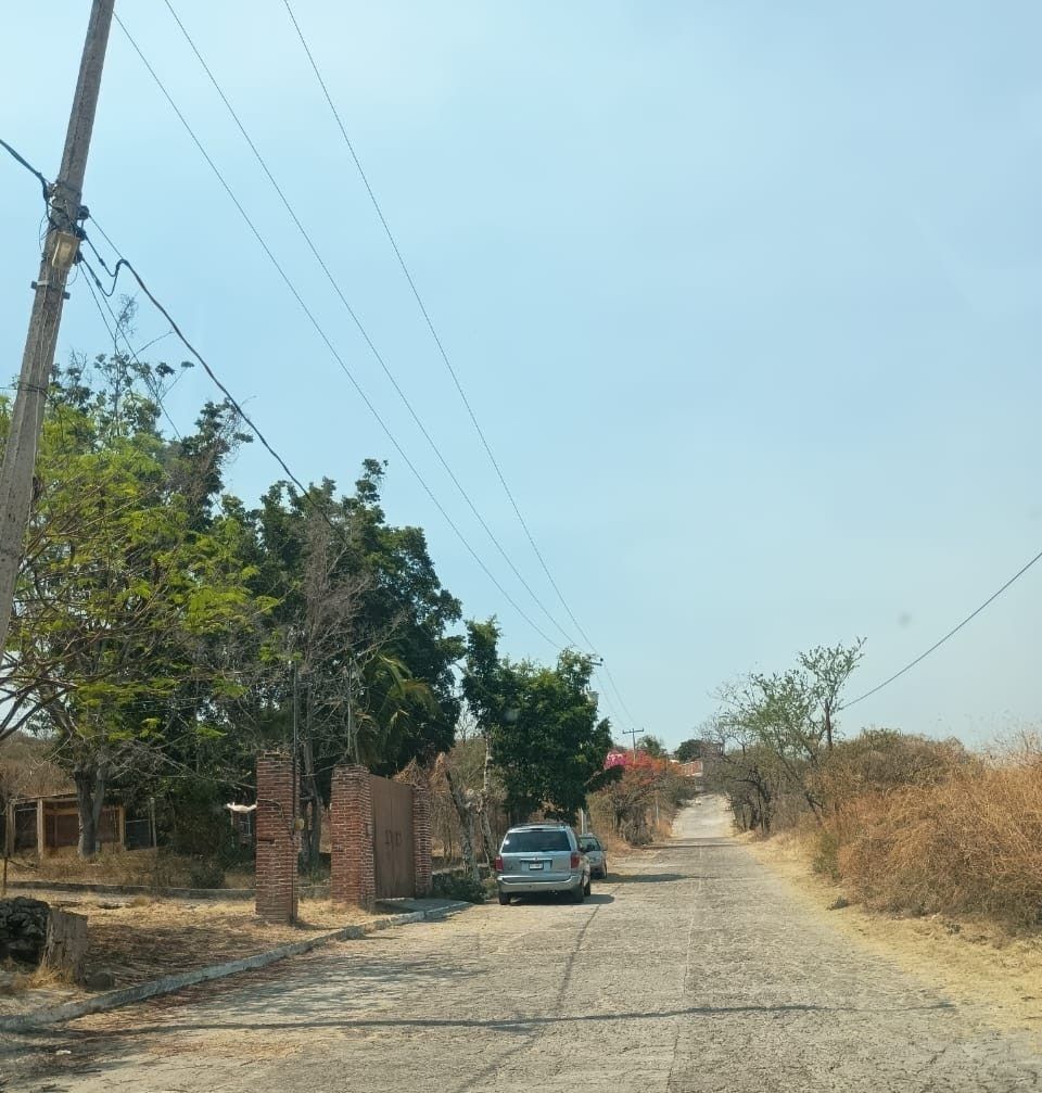 3 de 6